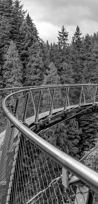 bridge-bw