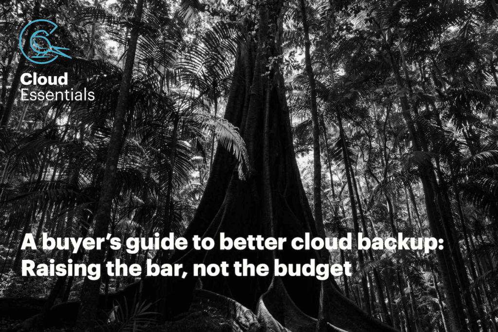 Cloud backup guide