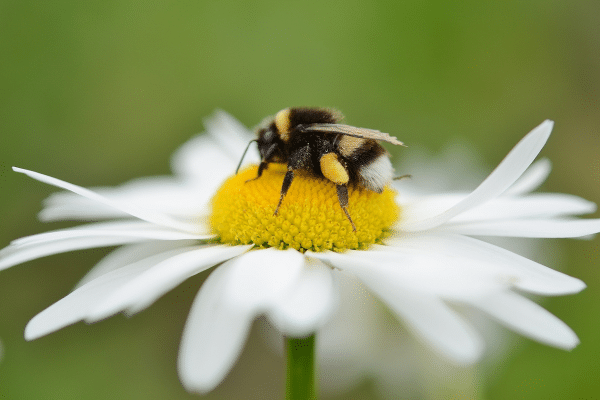 Making the case for Data Governance (and actually getting it over the line)