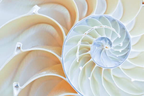 Building Sustainable Data Governance | Cloud Essentials