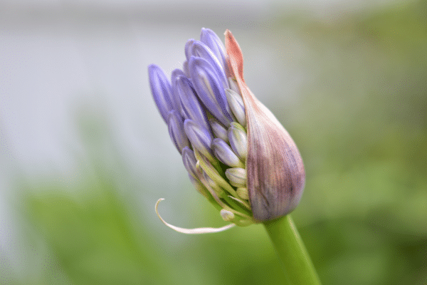 What to Look for in a Construction DMS | SharePoint Guide