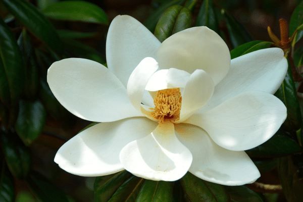 The next frontier in Financial Services: AI, data, and the race for efficiency