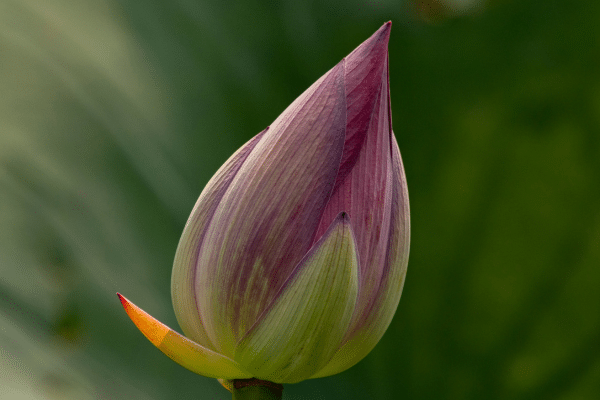 Is your Enterprise Content Management strategy delivering real value?