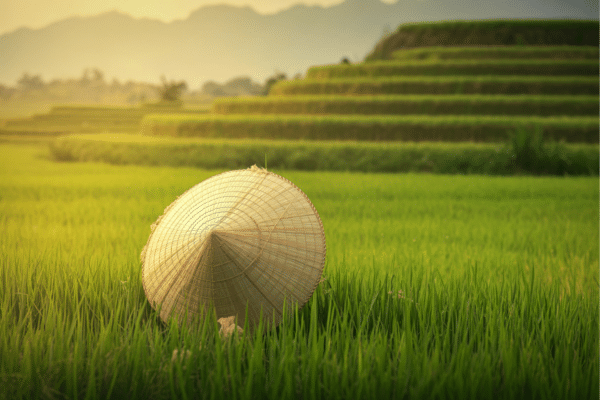 Preparing for SharePoint Feature Retirements