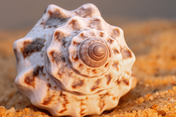 Don’t Wait to Start DLP – But Know When It’s Time to Level Up