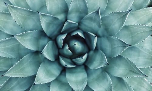 Getting security right during tenant-to-tenant migrations